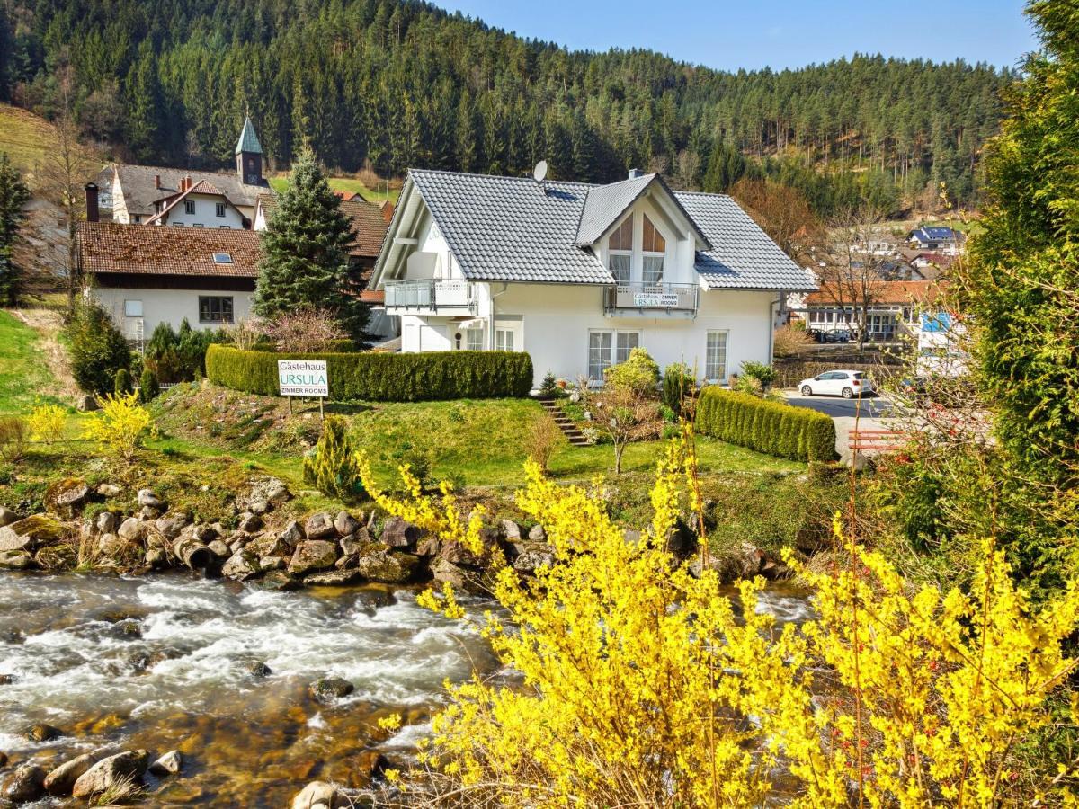 Gaestehaus Ursula Hornberg Eksteriør billede