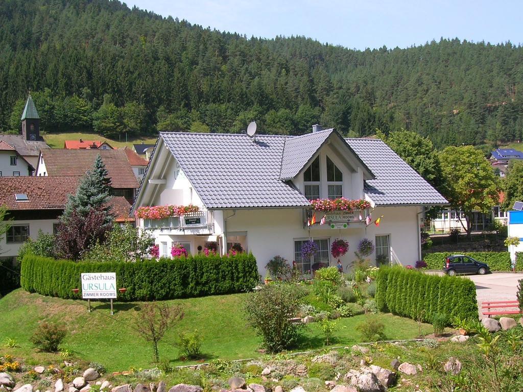 Gaestehaus Ursula Hornberg Eksteriør billede