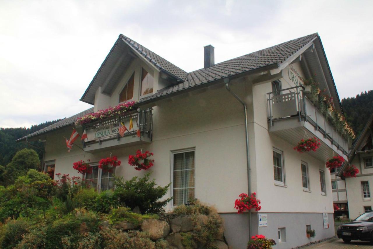 Gaestehaus Ursula Hornberg Eksteriør billede